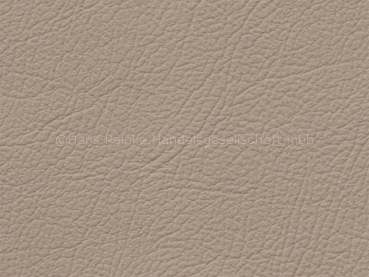 Basis für MB champignon