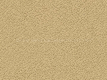 Basis für BMW lightgelb