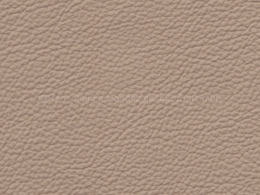 Basis for BMW hellbeige