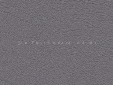Basis for BMW Nappa silbergrau corrected