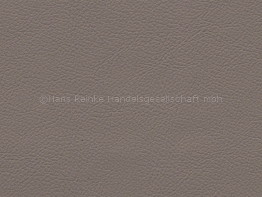 Standard beigegrau