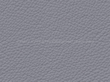 Basis für BMW Dakota alaskagrau