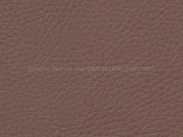 Skai Sotega hazelnut (King K2742) 150 cm 30 lfm pro Rolle