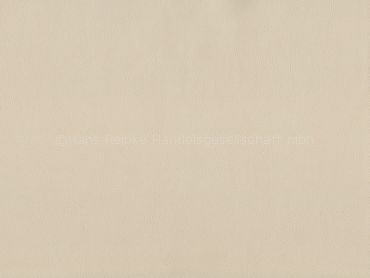 Skai Sorrento EN lightbeige 150 cm 30 lfm pro Rolle