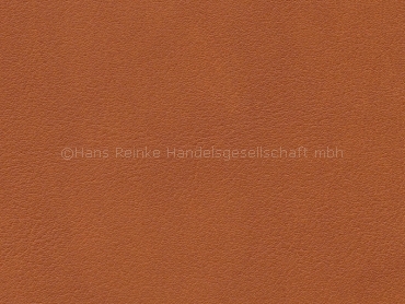 Skai Palma lima 137 cm 30 lfm pro Rolle