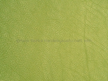 Skai Evida lime 137 cm  30 lfm pro Rolle