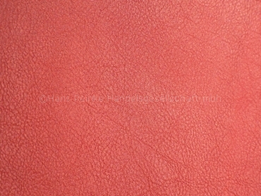 Skai Evida fire 137 cm  30 lfm pro Rolle