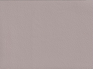 Basis Automobilkunstleder Vernasca oyster 140 cm Breite Rolle 30 lfm