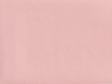 Queen magnolie phthalatfrei 140 cm 25 lfm pro Rolle