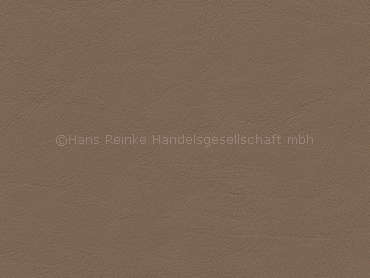 Audi havanna FN Sonderposten