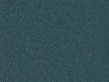 Porsche nephritegrün Nappa