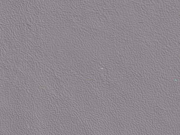 Land Rover stone grey Windsor Nappa Sonderposten