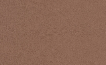 Audi Valcona muskatbraun special color