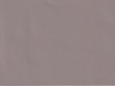 Autoleder für Aston Martin ice mocha Sonderposten