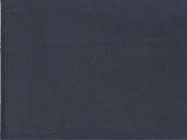 Autoleder für Aston Martin titanium grey metallic Sonderposten