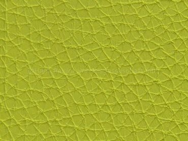 Baroness minze 140 cm 25 lfm pro Rolle Auslaufartikel