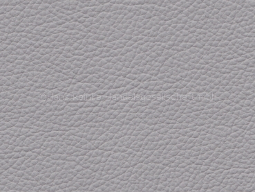 Basis for BMW Montana hellgrau