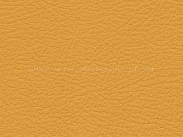 Basis für BMW maisgelb