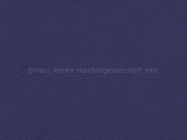 Basis for BMW Nappa tobagoblau corrected