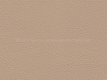 Basis für MB Nappa java korrigiert