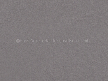 Audi FN hellgrau (platin hell)