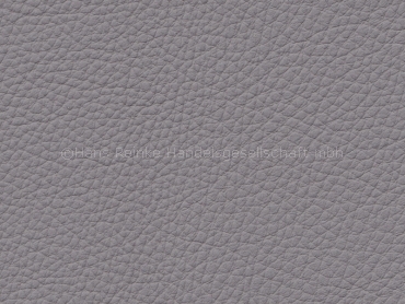 Basis für BMW everestgrau