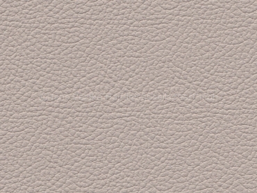 Simply Leather Einfach Leder canehl