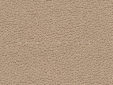 Basis für BMW Dakota beige 3