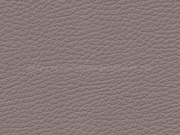 Basis für BMW Dakota amethyst