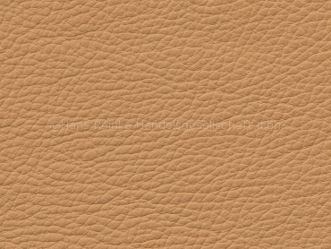 Mondial camel 1,6-1,8 mm