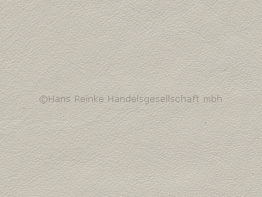 Audi lichtgrau dkl Seidennappa special color 