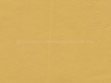 VW bernstein Nappa Sonderposten