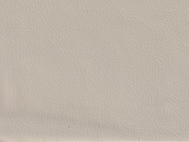 Autoleder schilf Sonderposten