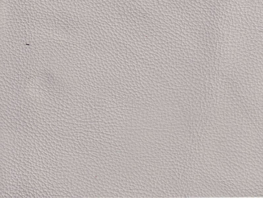 Autoleder muschel Sonderposten