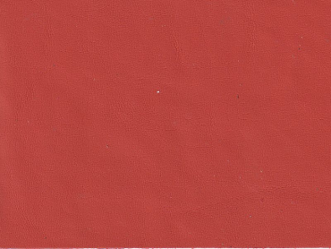 Autoleder für Aston Martin californian poppy Sonderposten