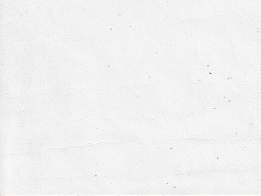 Autoleder für Aston Martin glacier white Sonderposten